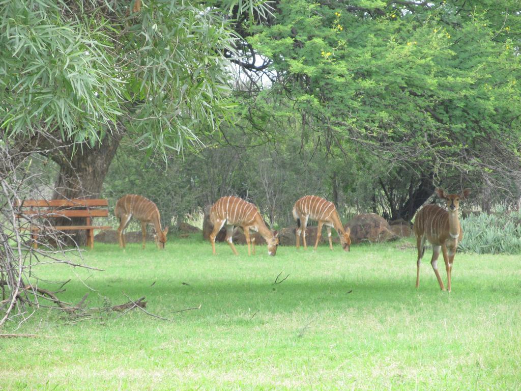 Boubou Bed And Breakfast Rustenburg Exteriör bild